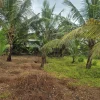 House plot for sale near kottamury town 3.5 lakh per cent