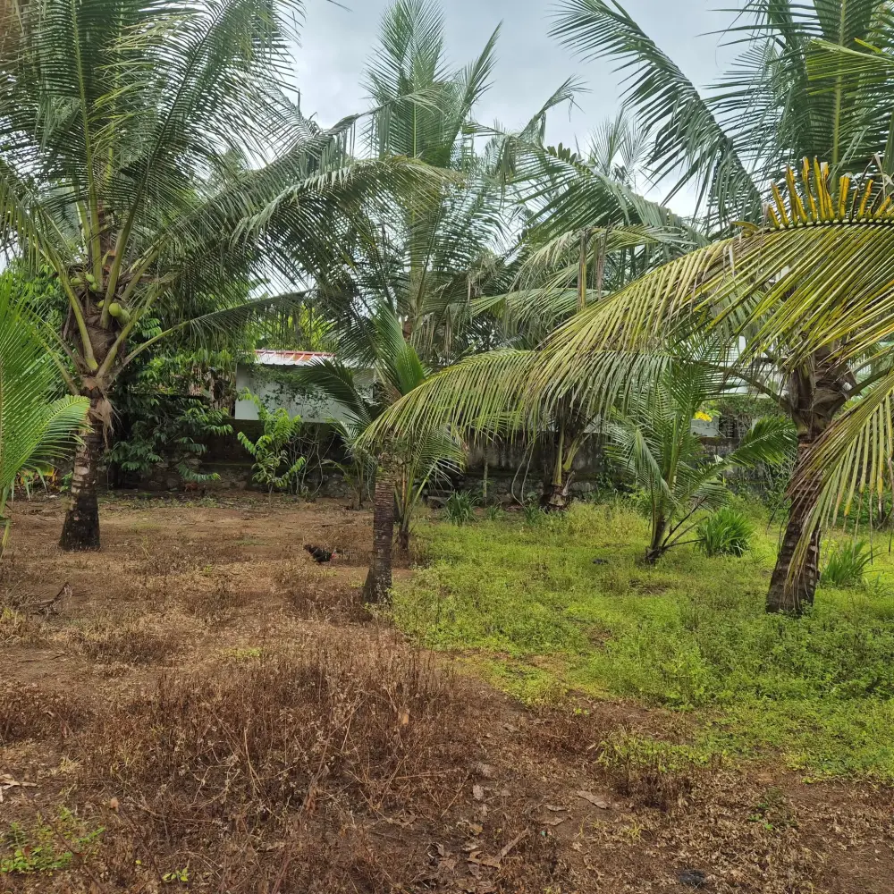 House plot for sale near kottamury town 3.5 lakh per cent